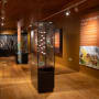 Exhibition cases at La Hougue Bie Celtic Coin Hoard exhibition