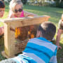 Four children look closely at a section of a beehive