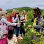Group taste wild flowers