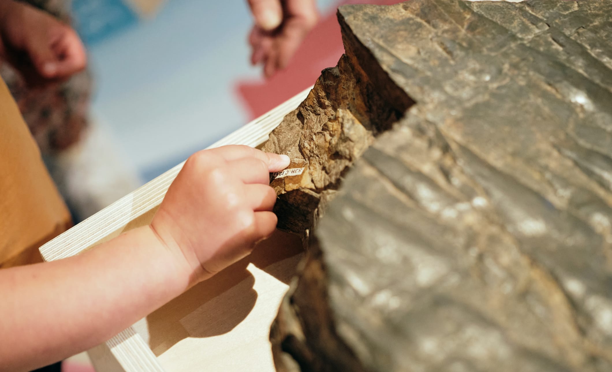 Jersey Museum young hands touch ancient rock in geopark