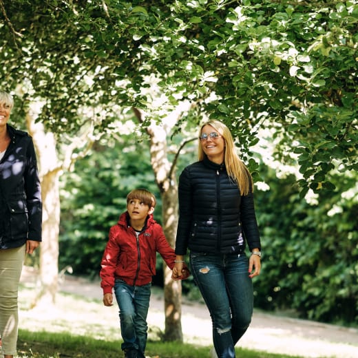 Family walk under trees