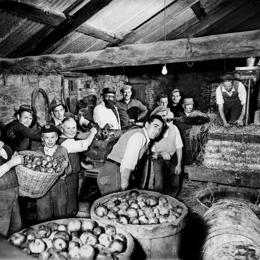 1958 image of people making cider