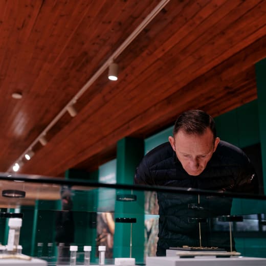 Man leans across a display case to look more closely