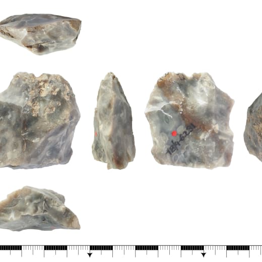 Images of a piece of Neanderthal flint, shown to scale.