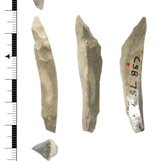 Five images of a Neanderthal tool made to process parts of carcasses