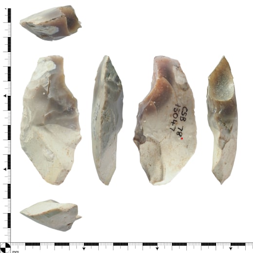 A Neanderthal tool shown in six photographs