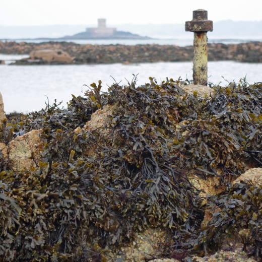 A marker in the rocks