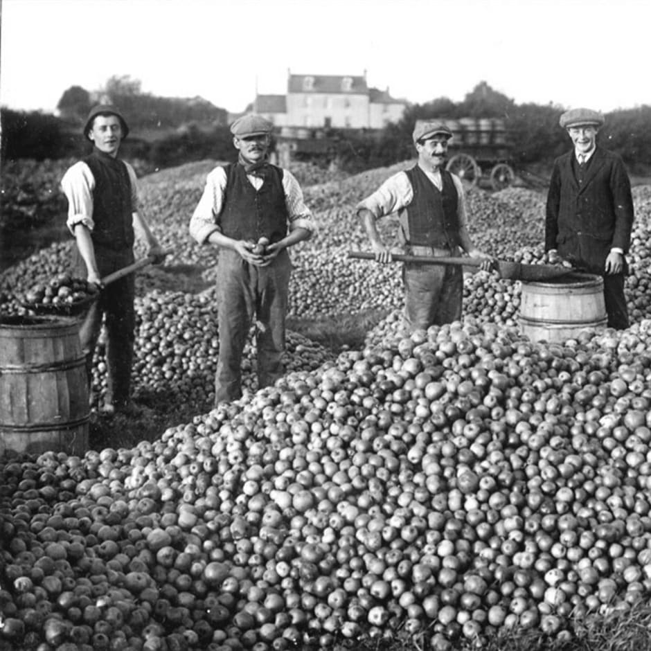 Discovery Days Jersey Heritage