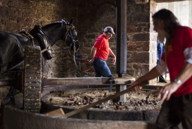 Three people in red tshirts and a large black horse crush apples in a stone apple crusher