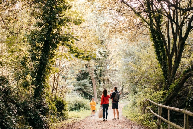 Family walking along footpath under cover of trees