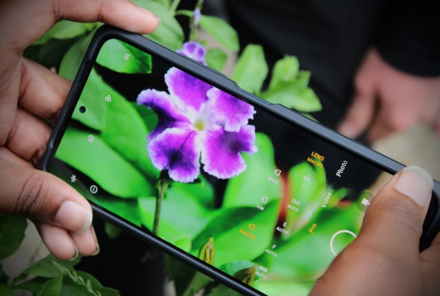 Image of a purple flower taken on a smart phone