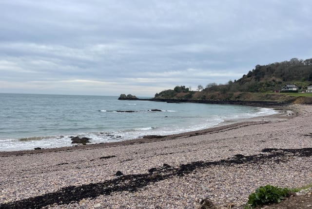 Landscape of a pebble beach with seaweed
