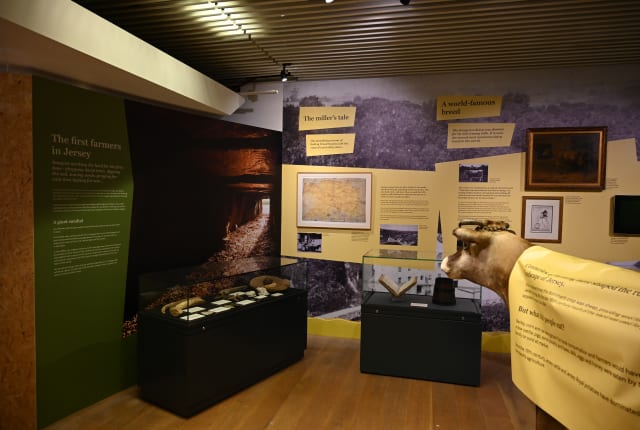 Exhibition space with colourful walls