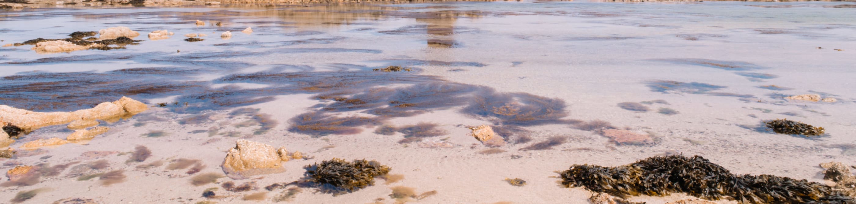 Seymour Tower in distance surrounded by sand