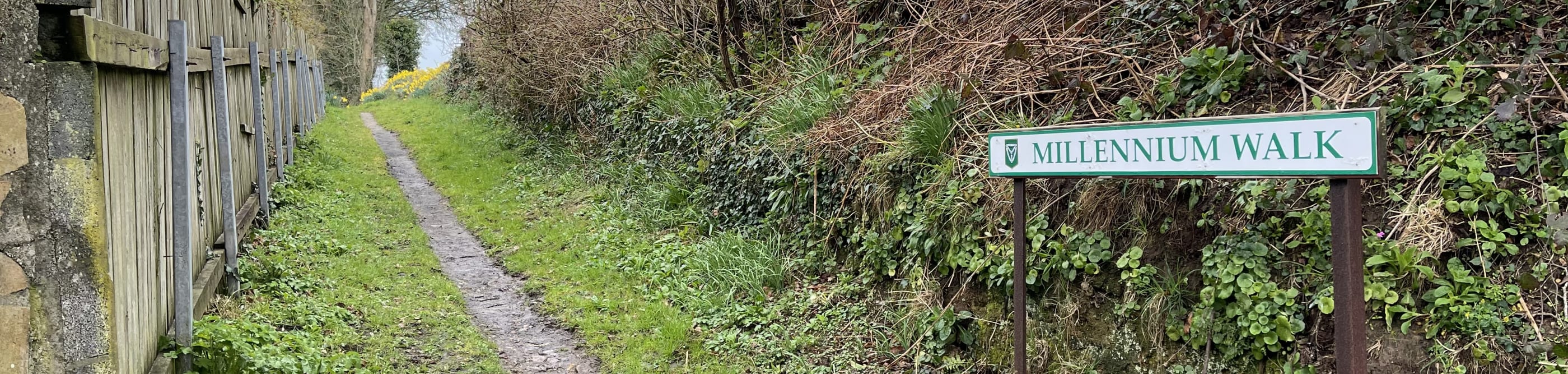 Pathway down a country lane