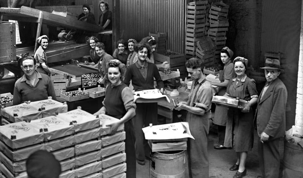 Women packing items in a farm shed