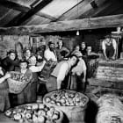 1958_cider_making_Jersey