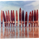 Group of male surfers with long boards