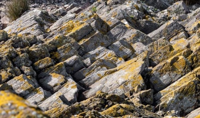 rhyolite rock face