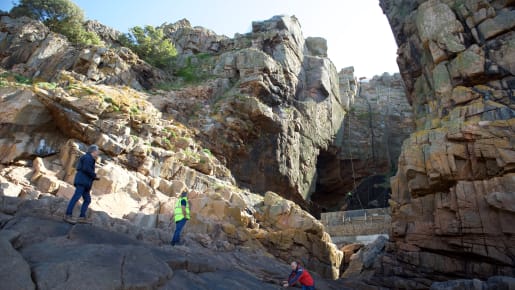 La cotte de Maille - Savoie Médiévale