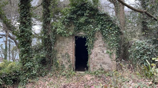 A small brick building covered with ivy