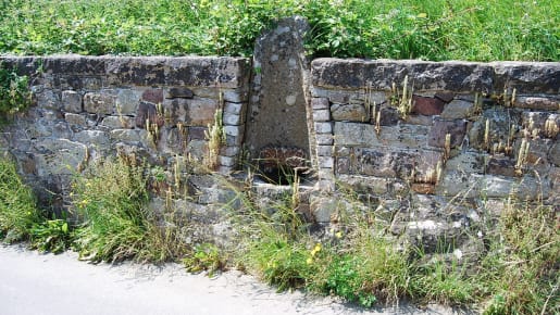 A drinking fountain within a stone wall by a meadow