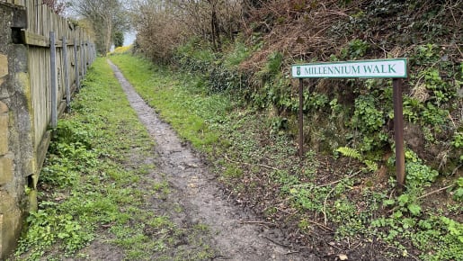 Pathway down a country lane