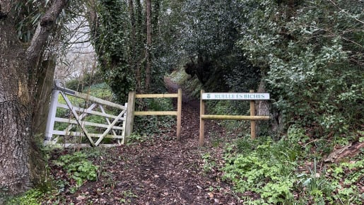 Woodland pathway with wooden gate