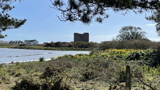 A stone structure in a woodland landscape close to a bay