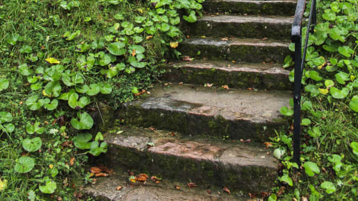 outside steps