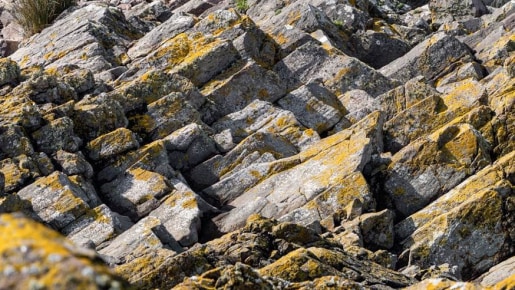 rhyolite rock face