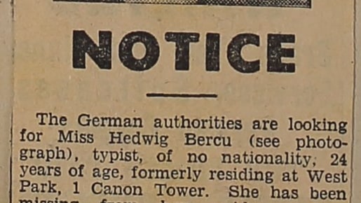 Newspaper Article
