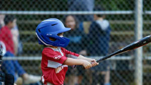 Roswell Youth Baseball Association - Page - Baseball Programs