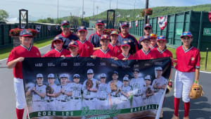 Roswell Youth Baseball Association - Page - Baseball Programs