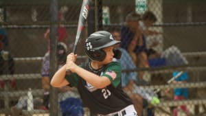 Roswell Youth Baseball Association - Page - Baseball Programs