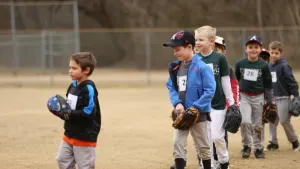 Roswell Youth Baseball Association - Page - Baseball Programs