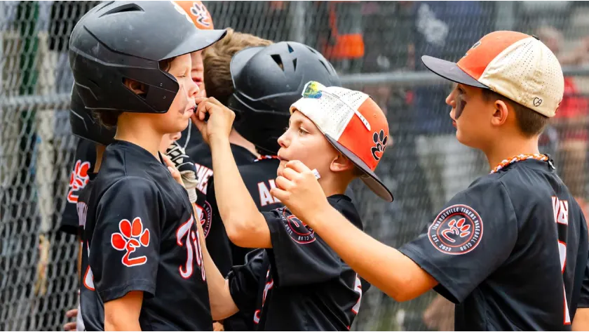 Edwardsville Glen Carbon Little League – Youth Recreational Baseball