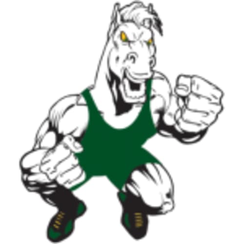 Mounds View Wrestling