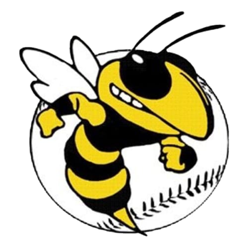 Stingers Softball