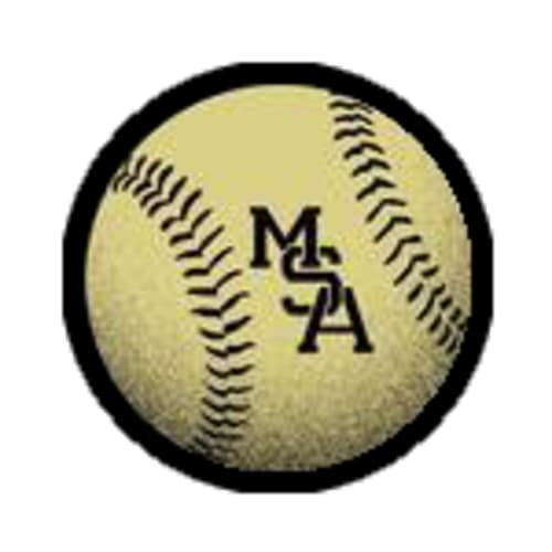 Michigan Sports Academy - Livingston