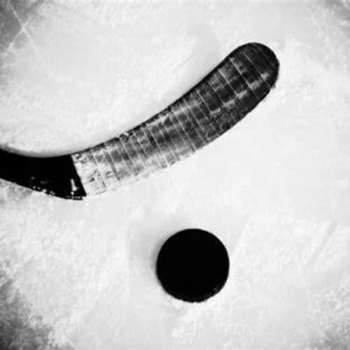 Red Deer Hockey Camp red-deer-hockey-camp