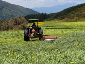 Tractor moving a field of Big Boss at 12,000 feet.