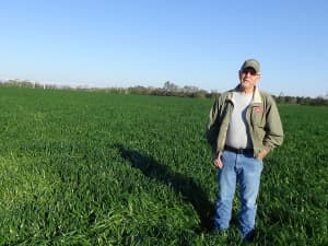 Big Boss in a field in Providence, SC.