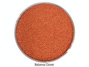 Coated balansa clover with orange coloring.
