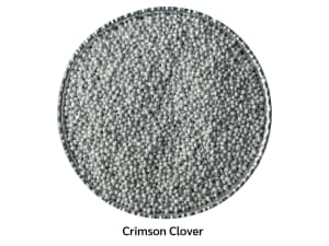 Coated crimson clover with white with mica coloring.