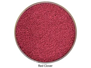 Coated red clover with red coloring.