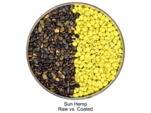 Coated sunn hemp with yellow coloring.