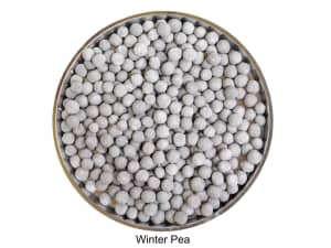 Coated winter peas with gray coloring.