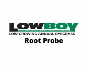 LowBoy root probe video poster.
