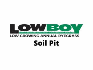 LowBoy soil pit video poster